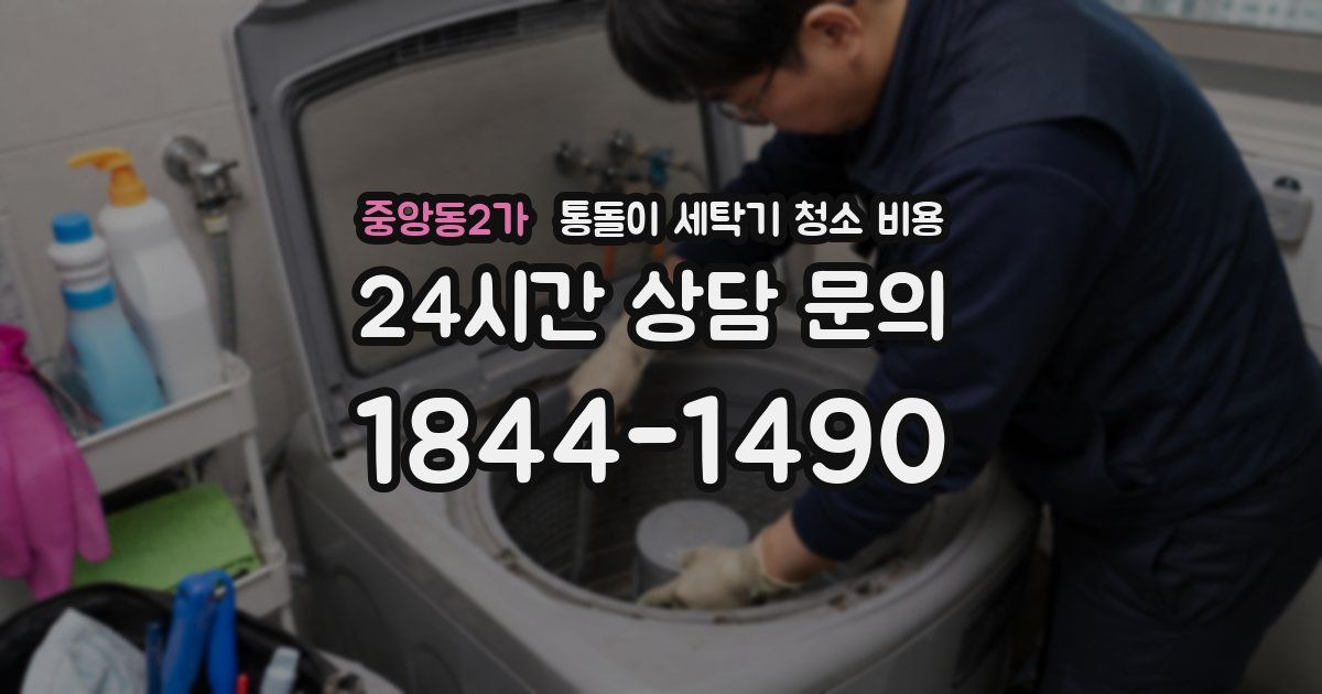 중앙동2가 통돌이 세탁기 청소 비용