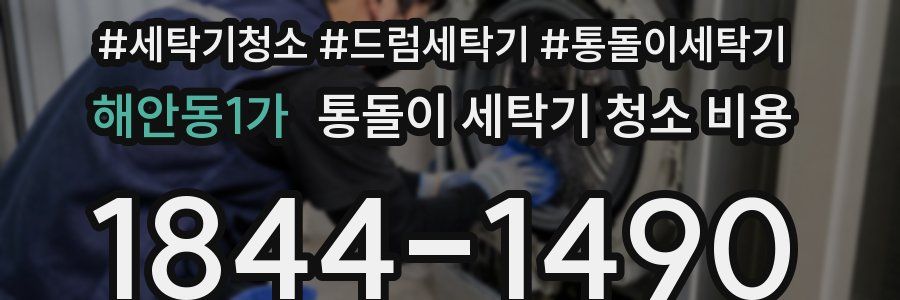 해안동1가 통돌이 세탁기 청소 비용