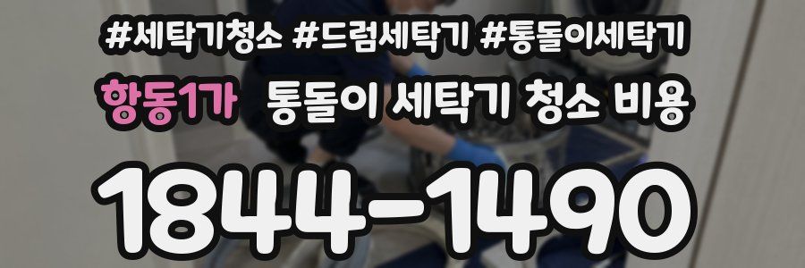 항동1가 통돌이 세탁기 청소 비용