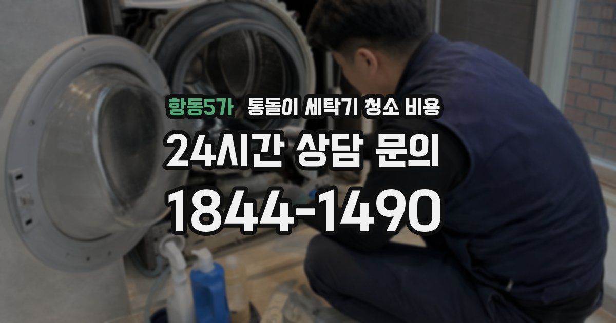항동5가 통돌이 세탁기 청소 비용