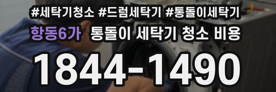항동6가 통돌이 세탁기 청소 비용