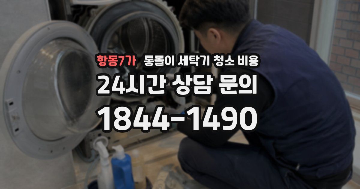 항동7가 통돌이 세탁기 청소 비용