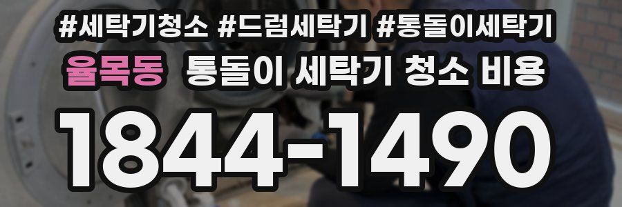 율목동 통돌이 세탁기 청소 비용
