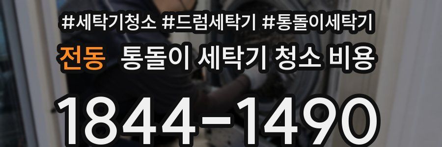 전동 통돌이 세탁기 청소 비용