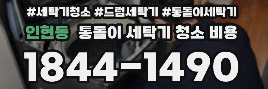 인현동 통돌이 세탁기 청소 비용