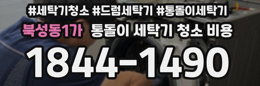 북성동1가 통돌이 세탁기 청소 비용