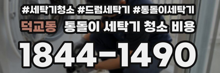 덕교동 통돌이 세탁기 청소 비용