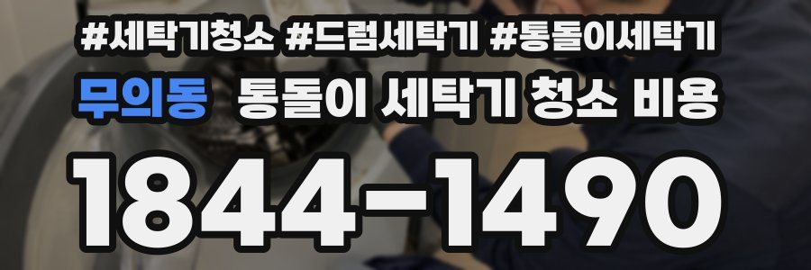 무의동 통돌이 세탁기 청소 비용