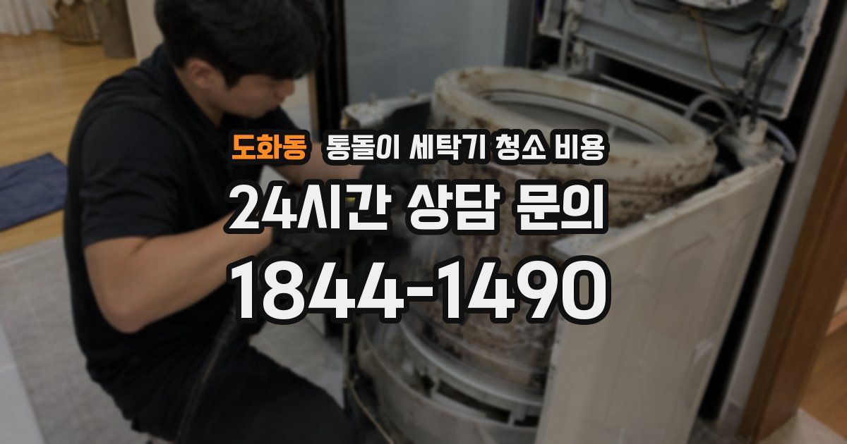 도화동 통돌이 세탁기 청소 비용