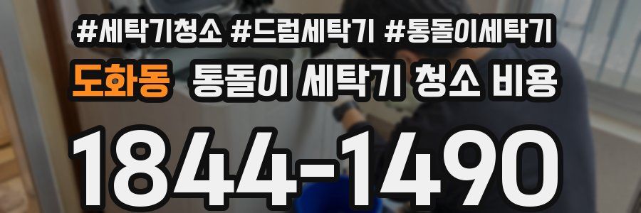 도화동 통돌이 세탁기 청소 비용