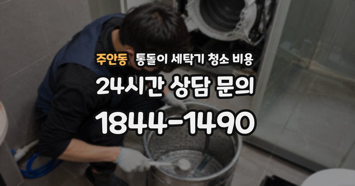 주안동 통돌이 세탁기 청소 비용