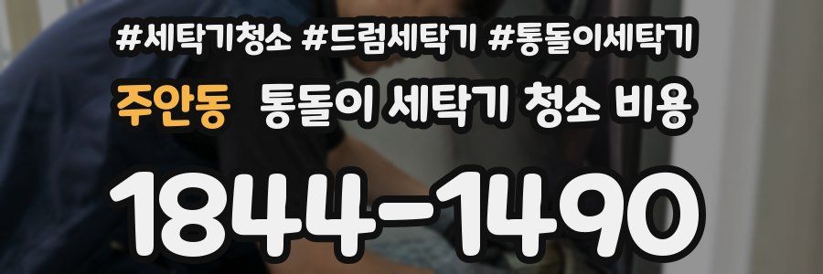주안동 통돌이 세탁기 청소 비용