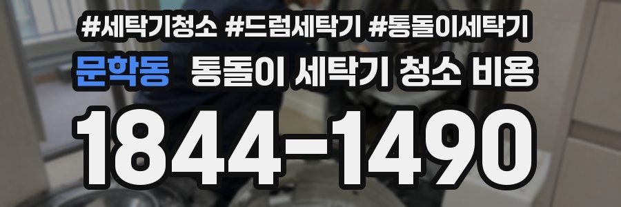 문학동 통돌이 세탁기 청소 비용