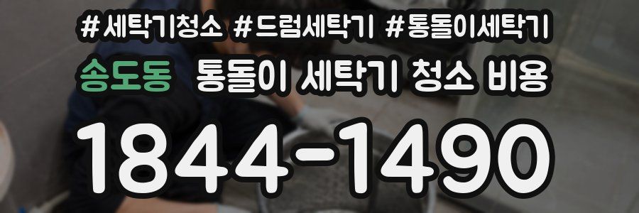 송도동 통돌이 세탁기 청소 비용