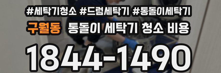구월동 통돌이 세탁기 청소 비용