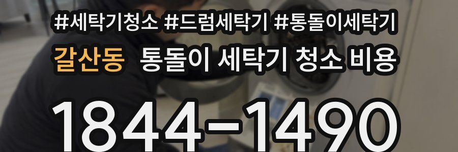 갈산동 통돌이 세탁기 청소 비용