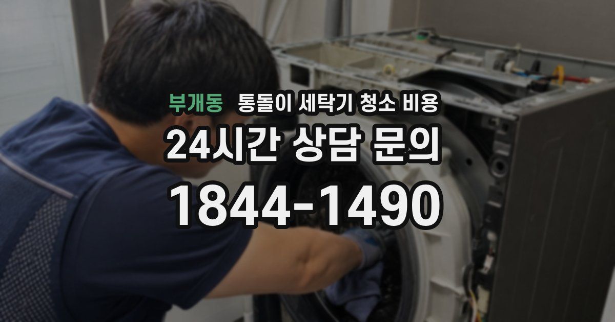 부개동 통돌이 세탁기 청소 비용