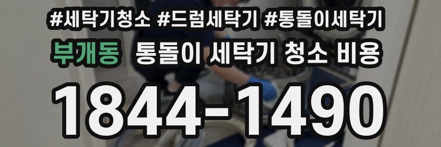 부개동 통돌이 세탁기 청소 비용