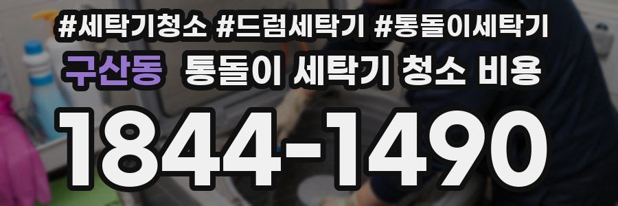 구산동 통돌이 세탁기 청소 비용