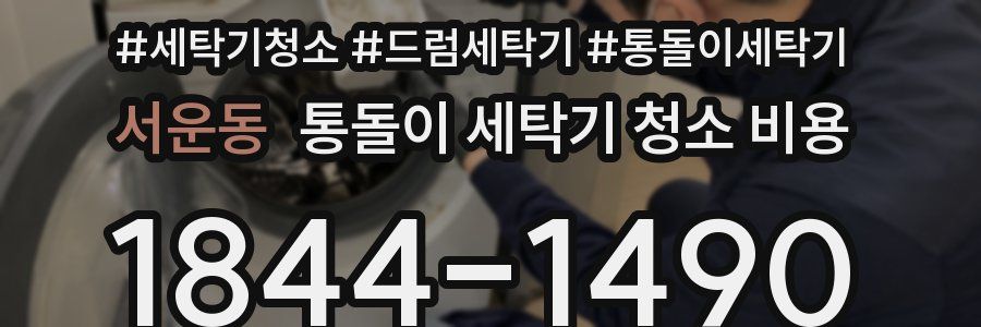서운동 통돌이 세탁기 청소 비용