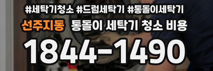 선주지동 통돌이 세탁기 청소 비용