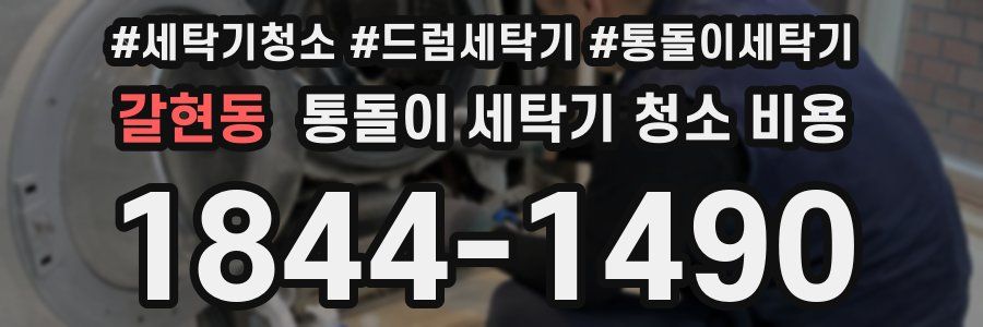 갈현동 통돌이 세탁기 청소 비용