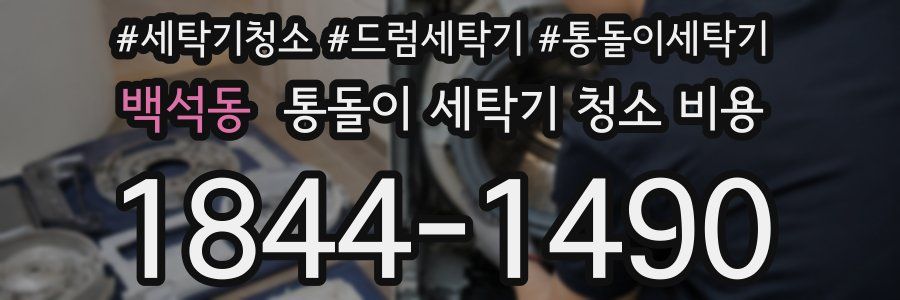 백석동 통돌이 세탁기 청소 비용