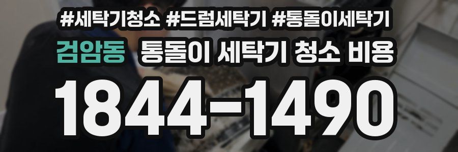 검암동 통돌이 세탁기 청소 비용