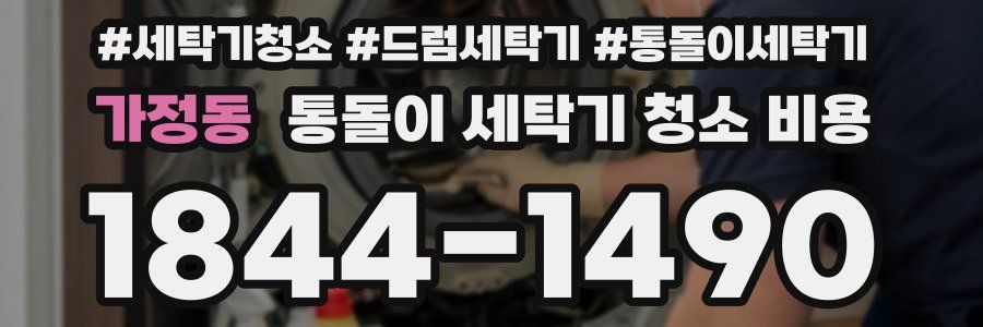 가정동 통돌이 세탁기 청소 비용