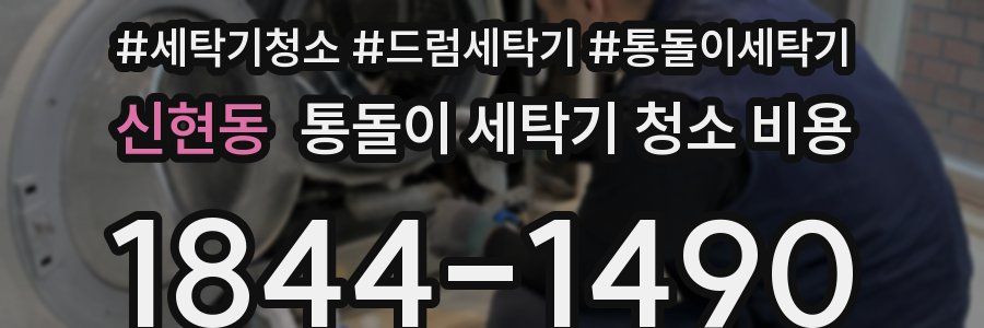 신현동 통돌이 세탁기 청소 비용