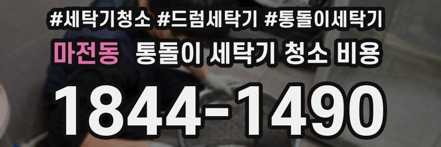 마전동 통돌이 세탁기 청소 비용