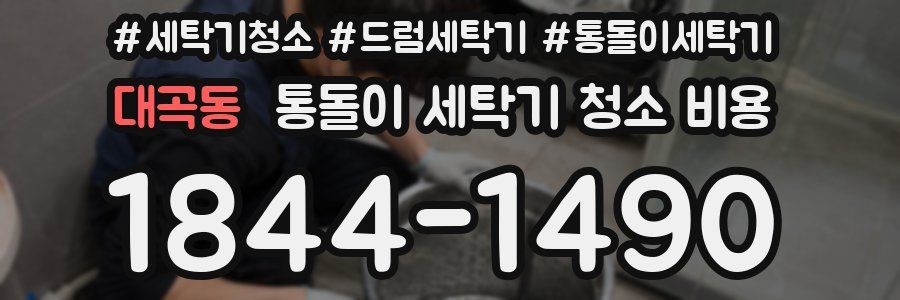 대곡동 통돌이 세탁기 청소 비용