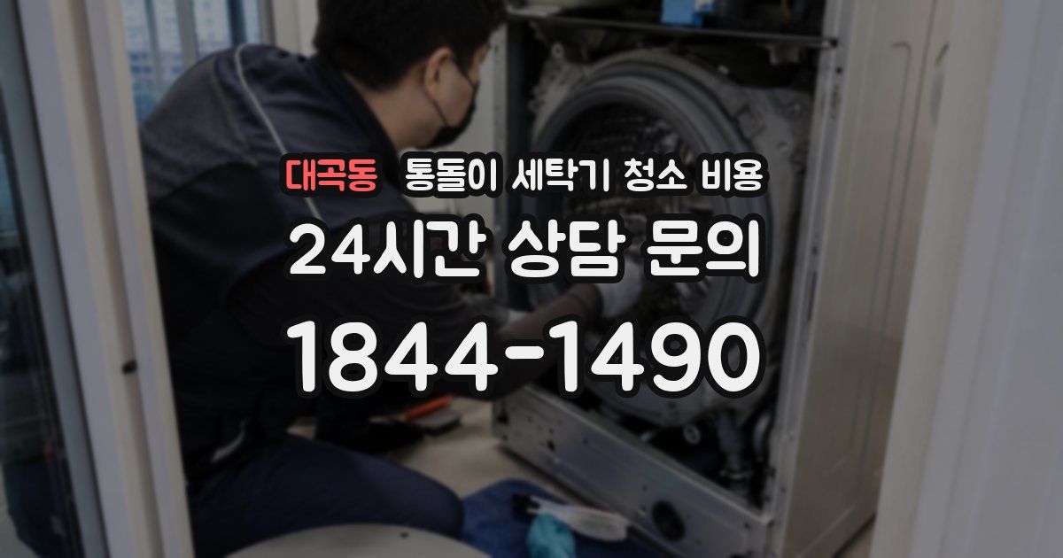 대곡동 통돌이 세탁기 청소 비용