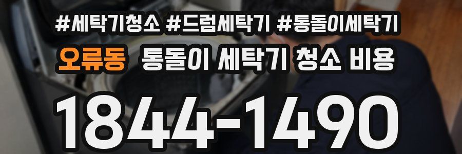 오류동 통돌이 세탁기 청소 비용