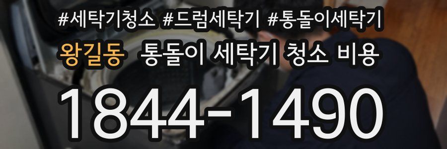 왕길동 통돌이 세탁기 청소 비용