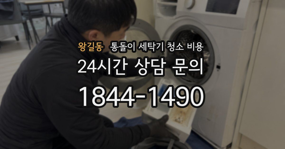 왕길동 통돌이 세탁기 청소 비용