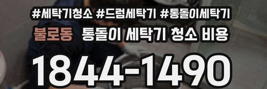 불로동 통돌이 세탁기 청소 비용