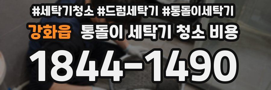 강화읍 통돌이 세탁기 청소 비용