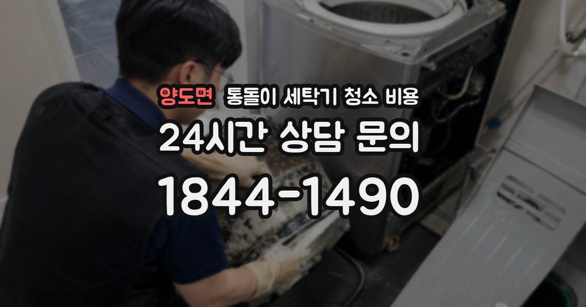 양도면 통돌이 세탁기 청소 비용