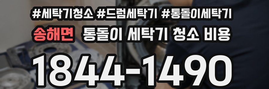 송해면 통돌이 세탁기 청소 비용