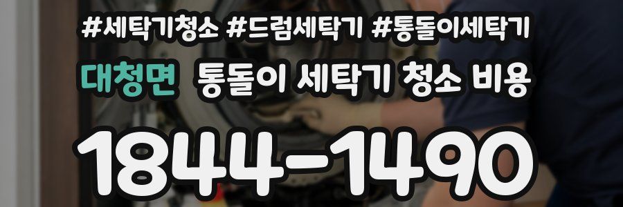 대청면 통돌이 세탁기 청소 비용
