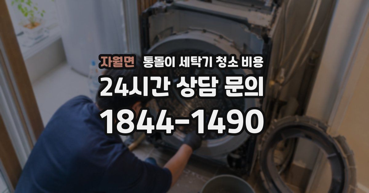 자월면 통돌이 세탁기 청소 비용