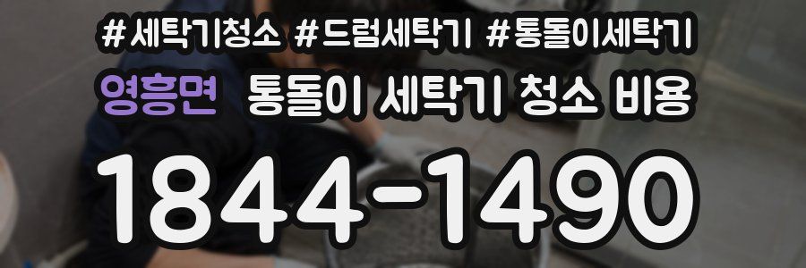 영흥면 통돌이 세탁기 청소 비용