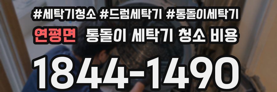 연평면 통돌이 세탁기 청소 비용