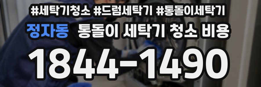 정자동 통돌이 세탁기 청소 비용