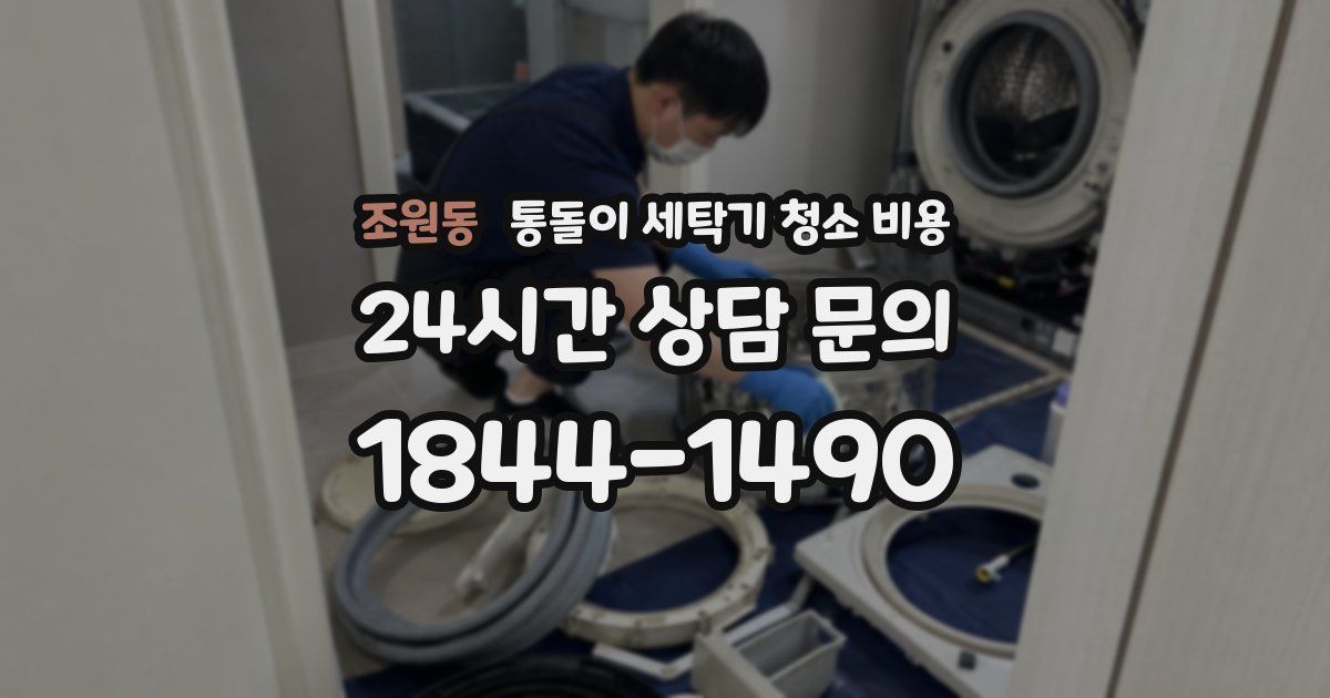 조원동 통돌이 세탁기 청소 비용