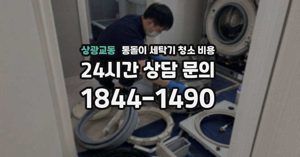 상광교동 통돌이 세탁기 청소 비용