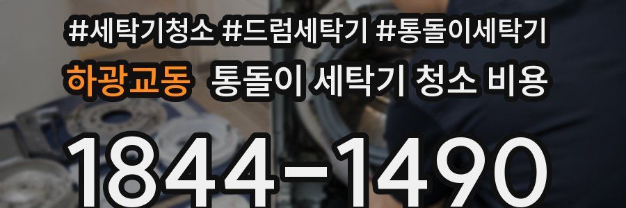 하광교동 통돌이 세탁기 청소 비용