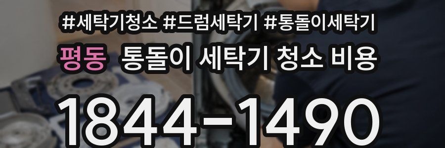 평동 통돌이 세탁기 청소 비용