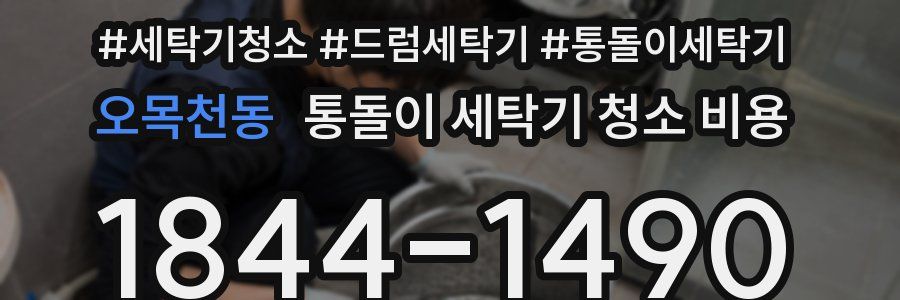 오목천동 통돌이 세탁기 청소 비용